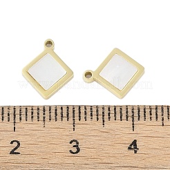 Натуральные раковины STAS-P366-25A-G