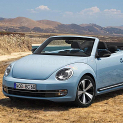 Наклейки для автомобилей с лазерными ресницами для домашних животных STIC-WH0004-03