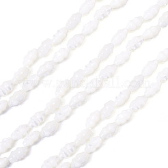 2 нить бусин из натуральных ракушек-трохусов SHEL-TA0001-20