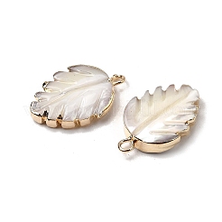 Натуральная ракушка трохида / подвески из ракушки трохуса&nbsp;SHEL-B003-10G