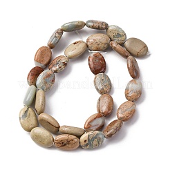 Натуральные бусины из аква терра яшмы G-L624-E03-14x10mm