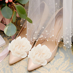 2 пара двухцветных обувных пряжек-зажимов из сплава&nbsp;DIY-GO0003-51B