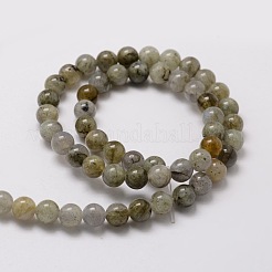 Labradorite naturale perle tonde fili&nbsp;G-E329-4mm-48