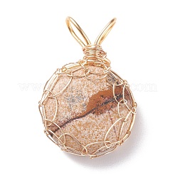 Природных драгоценных камней подвески PALLOY-JF01420