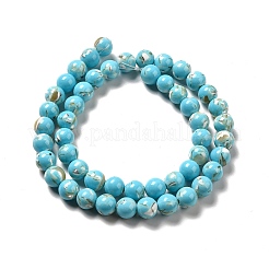 Fili di perle sintetiche turchesi e conchiglie montate&nbsp;G-D482-01A-07