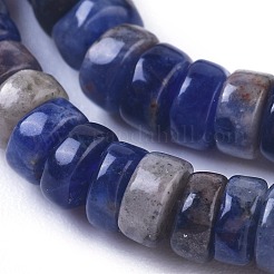 Perline sodalite naturale fili&nbsp;G-I265-04