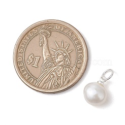 Подвески из натурального культивированного пресноводного жемчуга с двусторонней полировкой и фурнитурой из нержавеющей стали 304.&nbsp;PALLOY-JF05001-02