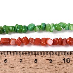 Нити бусин из натуральных пресноводных ракушек&nbsp;SHEL-N037-04A