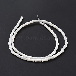 Нити бусин из натуральной ракушки трохус SSHEL-H070-04