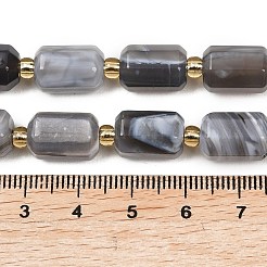 Природные Ботсвана агат бисер нитей&nbsp;G-P611-A01-01
