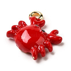 Цинк подвески эмали сплава&nbsp;X-FIND-I044-17B-1