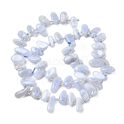 Натуральный голубой кружевной агат с шипами бусины нити G-NH0046-B01-01