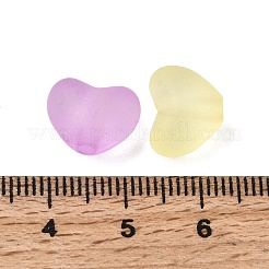 Матовые прозрачные акриловые бусины&nbsp;FACR-C001-01G