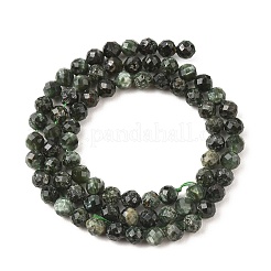 Perles naturelles SERAPHINITE brins&nbsp;G-K376-A02-5mm