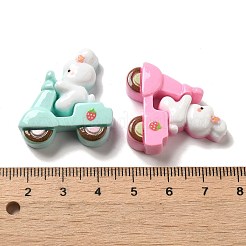 Непрозрачная смола декодирует кабошоны RESI-C044-05