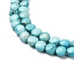 Природные Говлит бисер нитей G-C179-A6mm-27