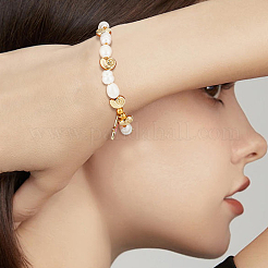 40 шт. тибетские бусины из сплава TIBEB-BC0001-06