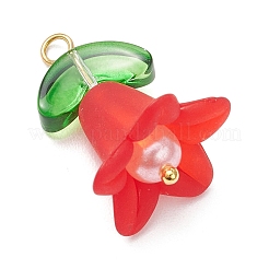 7 шт. подвески из матового акрила PALLOY-JF04090