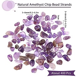 Natürlichen Amethyst Chip-Perlen&nbsp;G-SC0001-21