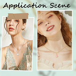 4 шт. FIND-SC0017-24C