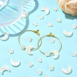 30шт 3 стиля натуральные бусины из пресноводных ракушек&nbsp;BSHE-CJ0001-09