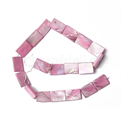 Нити бусин из натуральных пресноводных ракушек SHEL-C003-04