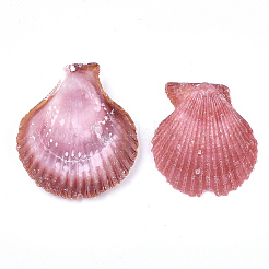 シーシェルビーズ  ドリルなし/穴なしビーズ  ミックスカラー  37~53x34~47x6~8mm&nbsp;SSHEL-S258-35