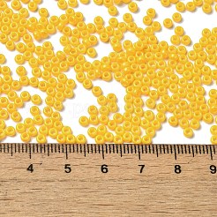 Выпечка краска стеклянные бусины SEED-P006-03A-04