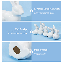 5 шт. 5 стиля фарфорового украшения для витрины AJEW-GL0002-01