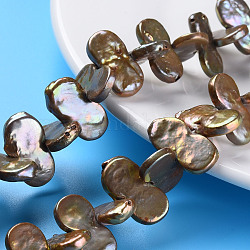 Naturali keshi perline perle fili, perla d'acqua dolce coltivata, tinto, zucca, kaki scuro, 20~28x10~12x2~6mm, Foro: 0.5 mm, circa 44~50pcs/filo, 16.53~17.32 pollici (42~44 cm)