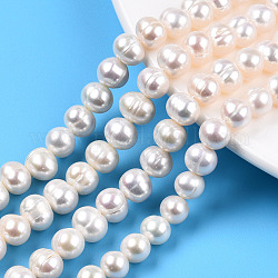 Fili di perle di perle d'acqua dolce coltivate naturali, patata, colore conchiglia, 7~8.5x7~8mm, Foro: 0.8 mm, circa 45pcs/filo, 13.39 pollice (34 cm)