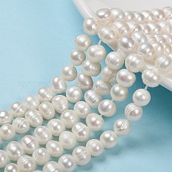 Brins de perles de culture d'eau douce naturelles, pomme de terre, couleur de coquillage, 6~7x7~8.5mm, Trou: 0.5mm, Environ 26 pcs/chapelet, 7.09 pouce (18 cm)