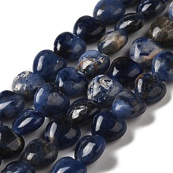 Chapelets de perles en sodalite naturelle, cœur, 10x10.5~11x5mm, Trou: 1.2mm, Environ 40 pcs/chapelet, 15.35'' (39 cm)