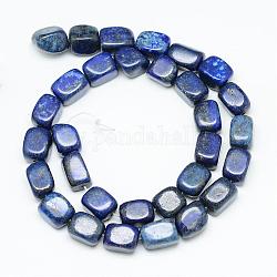 Chapelets de perle en lapis-lazuli naturel, cuboïde, 12~15x8~12x8~12mm, Trou: 1.5mm, Environ 27~30 pcs/chapelet, 14.9~15.3 pouce
