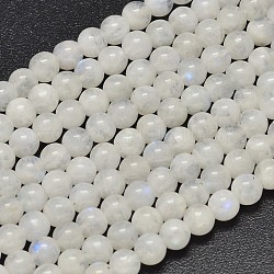 Fili di perline di pietra di luna arcobaleno naturale, tondo, 5.5~6mm, Foro: 1 mm, circa 67pcs/filo, 15.7 pollice (40 cm)