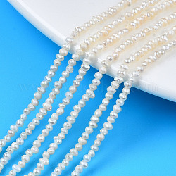 Natural Cultured Freshwater Pearl Beads Strands, Potato, Seashell Color, 2~3x1.5~2.5mm, Hole: 0.5mm, about 141~145pcs/strand, 13.98 inch~14.17 inch(35.5cm~36cm)