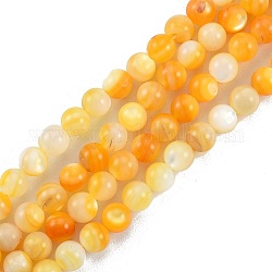 Fili di perline di conchiglia giallo dorato naturale, tondo, 6mm, Foro: 0.8 mm, circa 67pcs/filo, 15.08 pollice (38.3 cm)