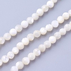 Natural Shell Beads Strands, Faceted, Round, 3~3.5mm, Hole: 0.5mm, about 115~130pcs/strand, 14.5~16.1 inch(37~41cm)