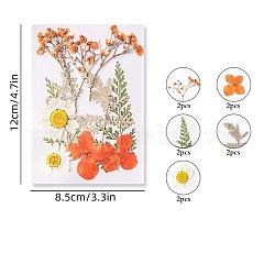 Set di adesivi per fiori secchi autoadesivi impermeabili per animali domestici, adesivo decorativo segnalibro a mano fai da te, fiore, pomodoro, 120x85mm