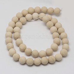 Natural Fossil Beads Strands, Frosted, Round, 10mm, Hole: 1mm, about 38pcs/strand, 14.9 inch