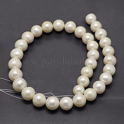 Fili di perle d'acqua dolce naturali coltivate, tondo, beige, 12~15mm, Foro: 0.8 mm, circa 34pcs/filo, 15.7 pollice