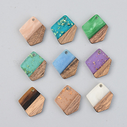 Подвески из смолы и ореха, многоугольник, разноцветные, 21x18.5x3 мм, отверстие : 2 мм