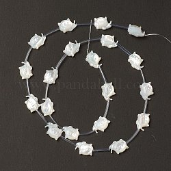 Natural White Shell Mother of Pearl Shell Beads, Cat, Creamy White, 9x12x3.5mm, Hole: 0.7mm, about 20pcs/strand, 18.50''(47cm)