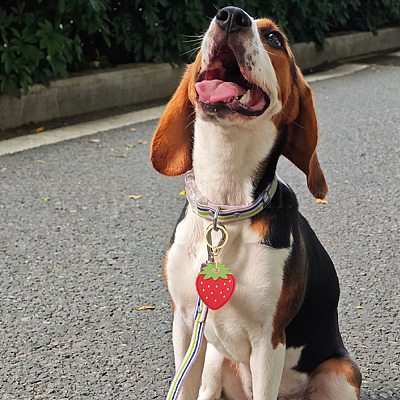 Сделай сам наборы для ключей DIY-SP0005-08-1