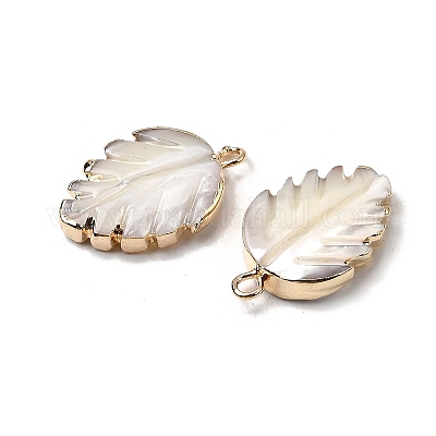 Натуральная ракушка трохида / подвески из ракушки трохуса SHEL-B003-10G-1