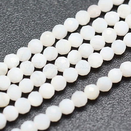 Perles de coquillage blanc naturel G-O166-26-2mm-1