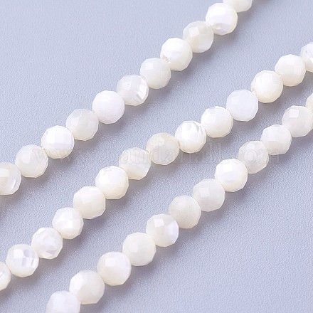 Chapelets de perles de coquillage naturel X-G-F619-27-3mm-1