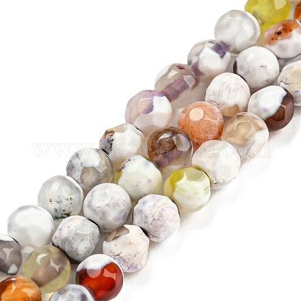 Brins de perles d'agate craquelée de feu naturel teint G-G007-01D-1