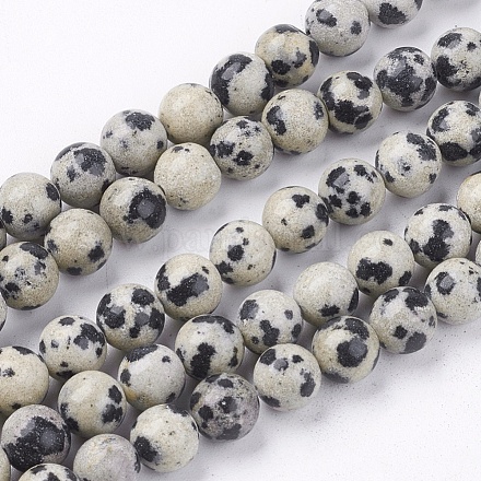 Natural Dalmatian Jasper Stone Bead Strands X-G-R193-14-6mm-1