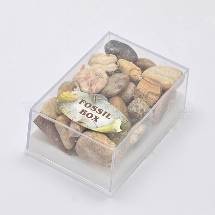 Nuggets decoraciones de display de piedras preciosas en casa DJEW-L008-18-1
